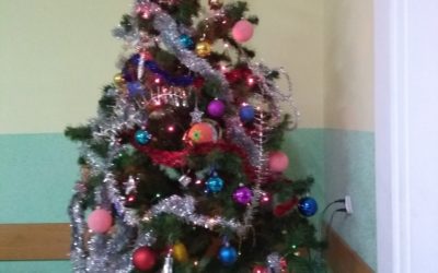 Nasze choinki