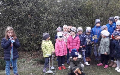 Zerówka w ciągu dnia