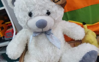Światowy Dzień Pluszowego Misia