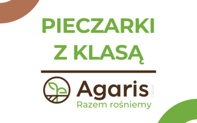 Pieczarki z klasą